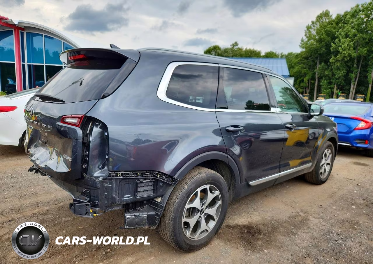 2020 Kia Telluride Ex VIN:5XYP3DHC8LG061784 - 3