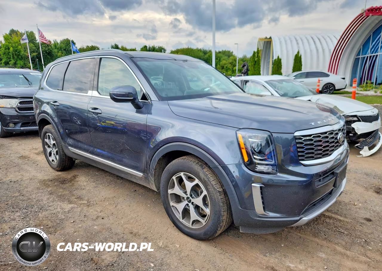 2020 Kia Telluride Ex VIN:5XYP3DHC8LG061784 - 4