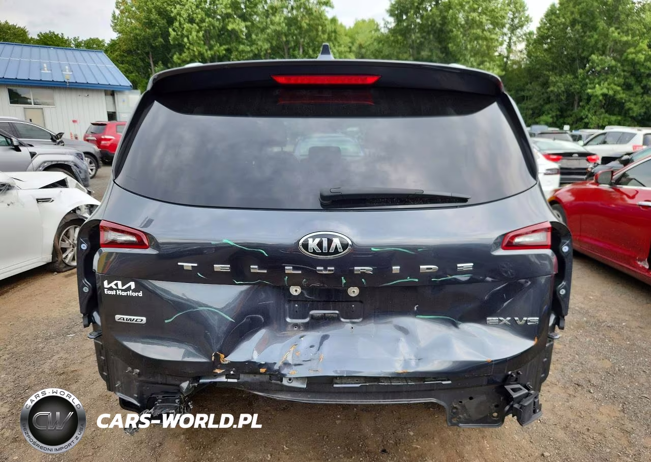 2020 Kia Telluride Ex VIN:5XYP3DHC8LG061784 - 6