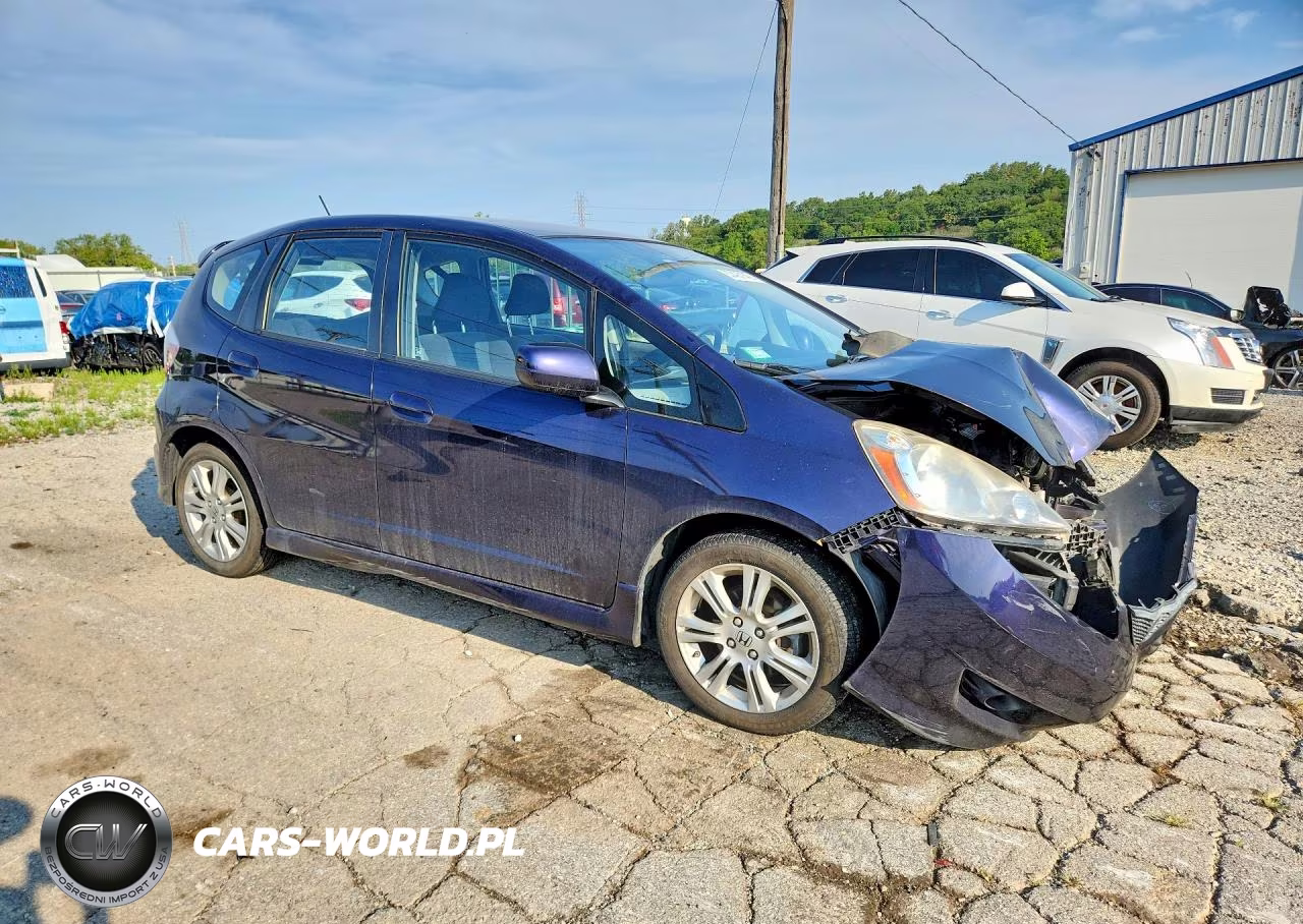 2010 Honda Fit Sport VIN:JHMGE8H49AC031946 - 4