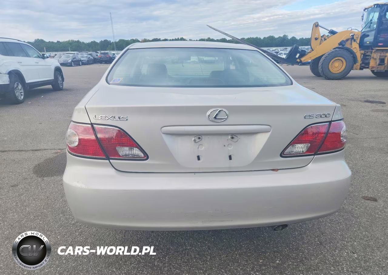 2002 Lexus Es 300 VIN:JTHBF30G120069383 - 6