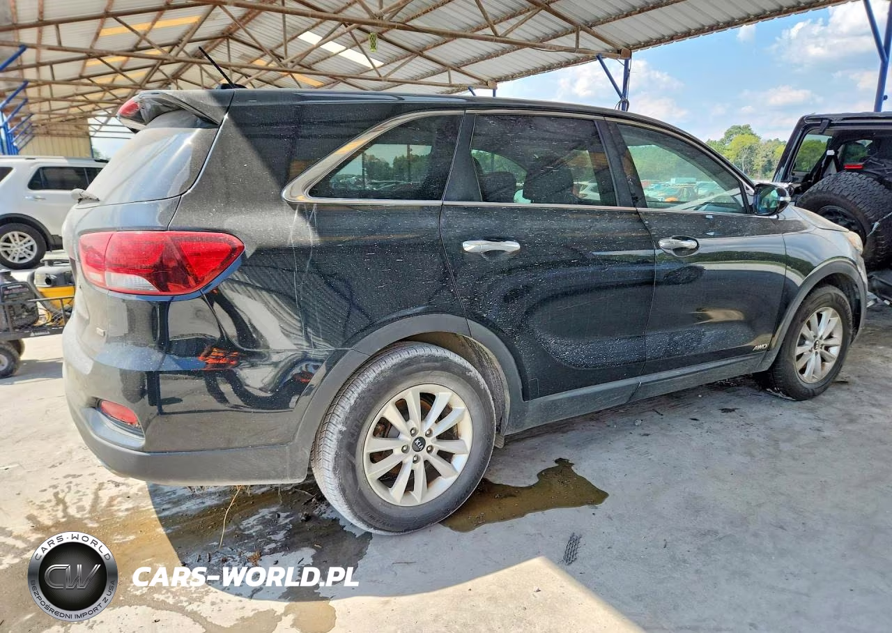 2019 Kia Sorento Lx VIN:5XYPGDA39KG432674 - 3