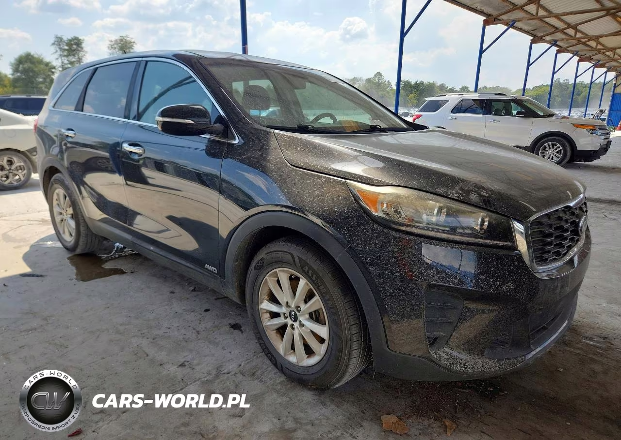 2019 Kia Sorento Lx VIN:5XYPGDA39KG432674 - 4