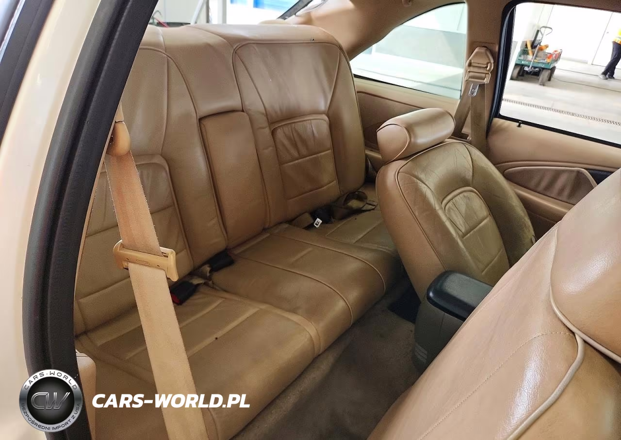 1997 Ford Thunderbird Lx VIN:1FALP62WXVH103339 - 10