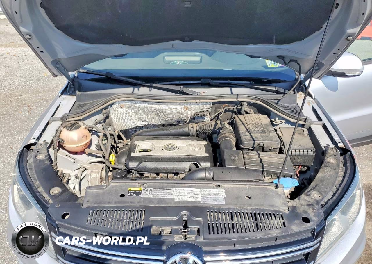 2016 Volkswagen Tiguan S VIN:WVGBV7AX4GW555132 - 11