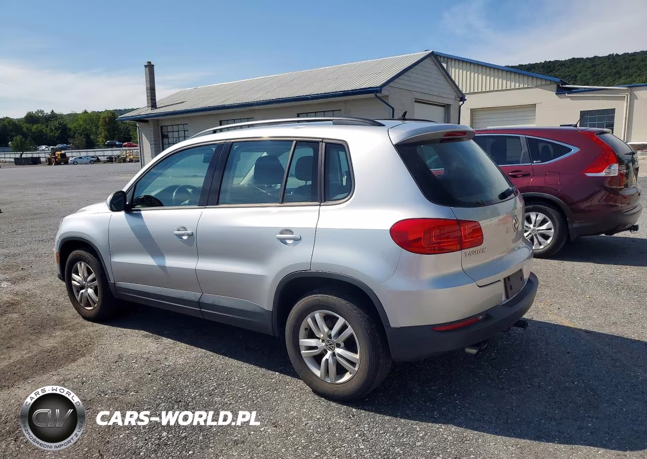 2016 Volkswagen Tiguan S VIN:WVGBV7AX4GW555132 - 2