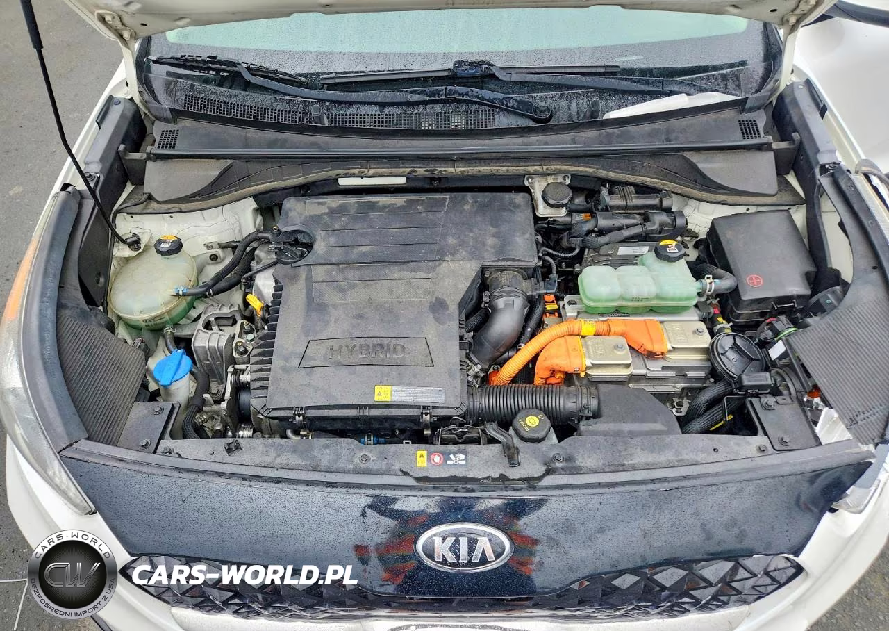 2019 Kia Niro Lx VIN:KNDCB3LC3K5266990 - 12
