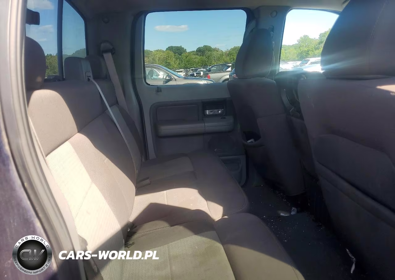 2006 Ford F150 Supercrew VIN:1FTPW14V46FB54841 - 10