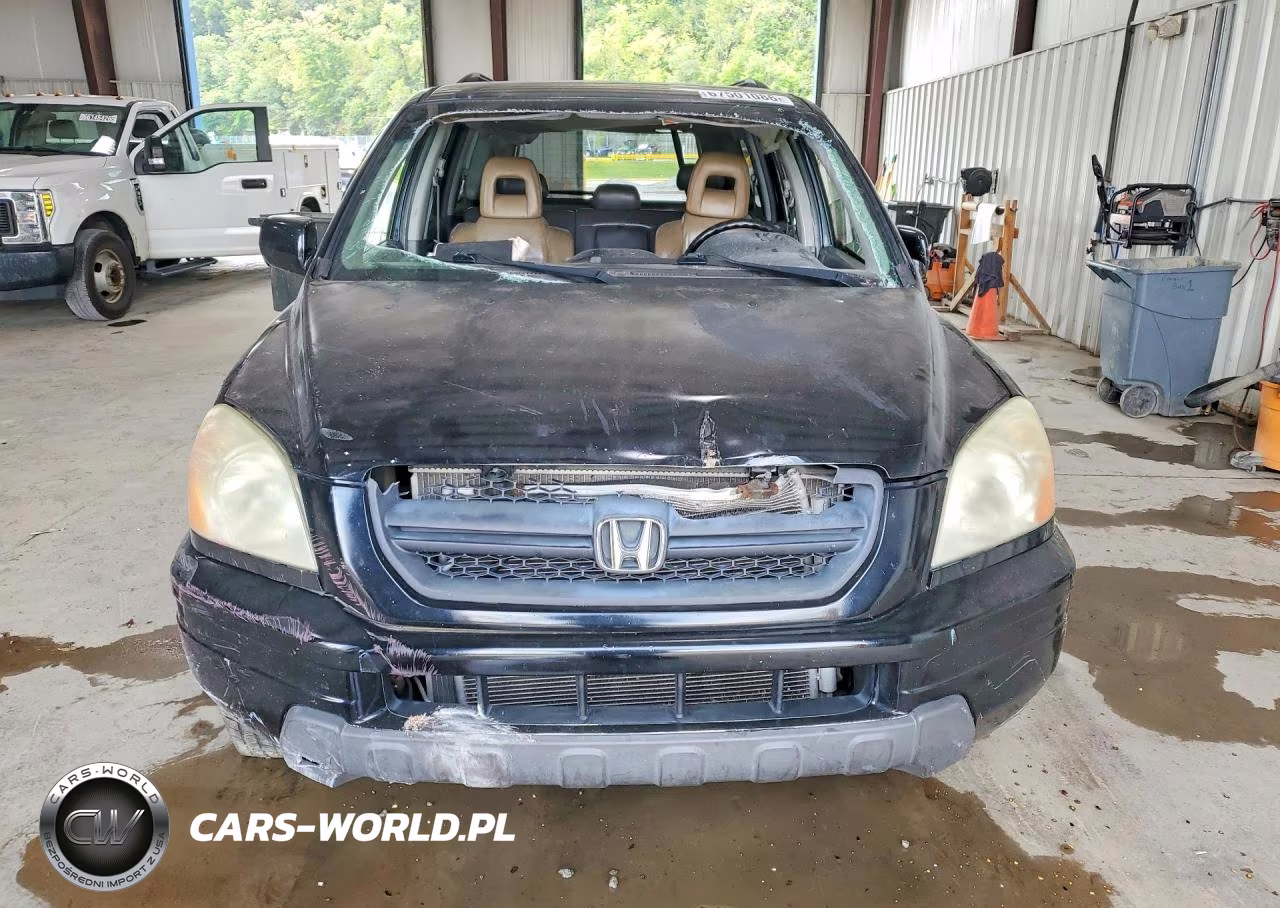 2005 Honda Pilot Exl VIN:5FNYF18525B066257 - 5