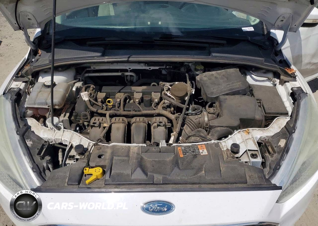 2015 Ford Focus Se VIN:1FADP3K22FL318745 - 11