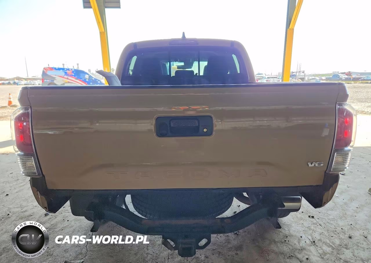 2020 Toyota Tacoma Trd Off-Road VIN:3TMCZ5AN3LM358995 - 6
