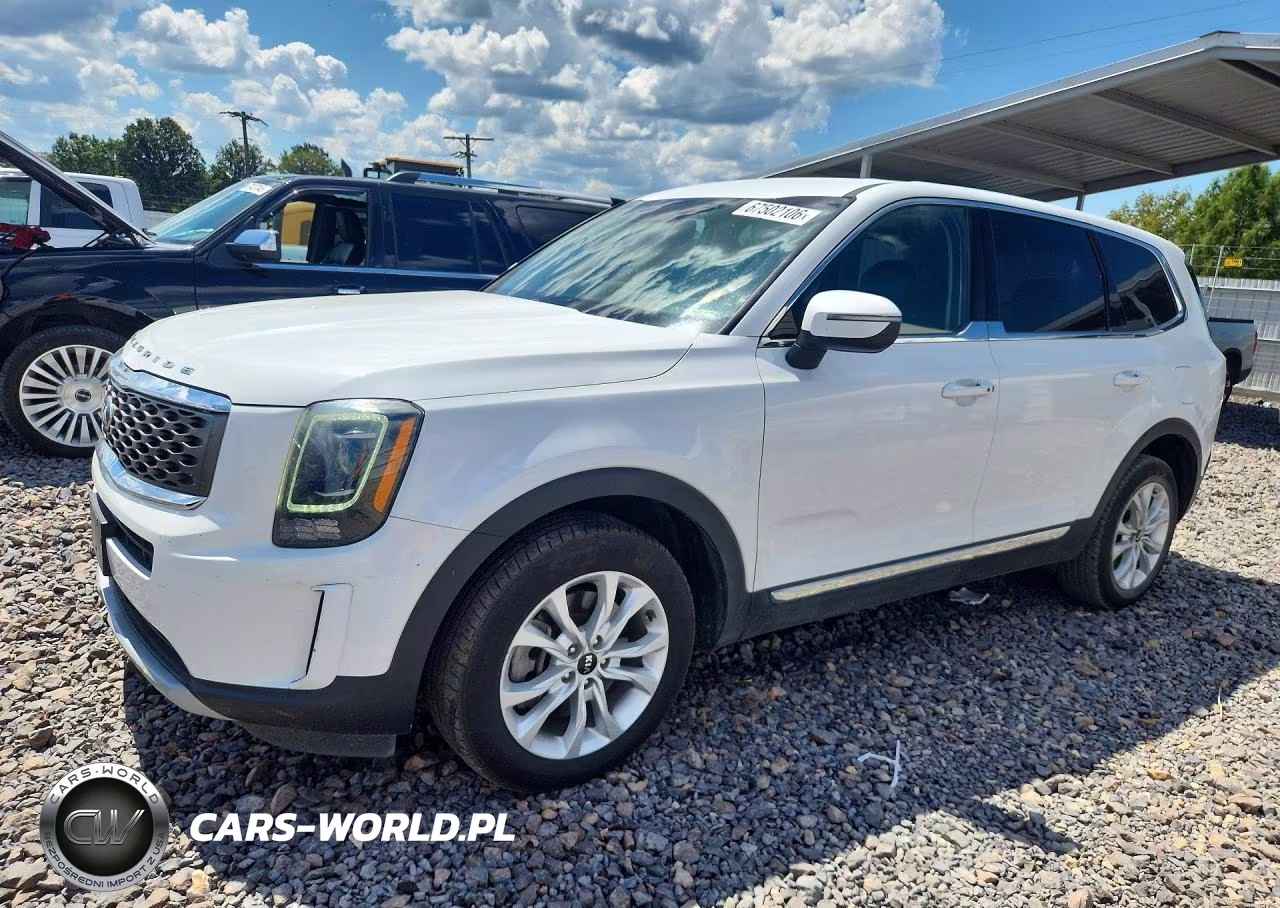 2020 Kia Telluride Lx VIN:5XYP24HC0LG027163 - 1