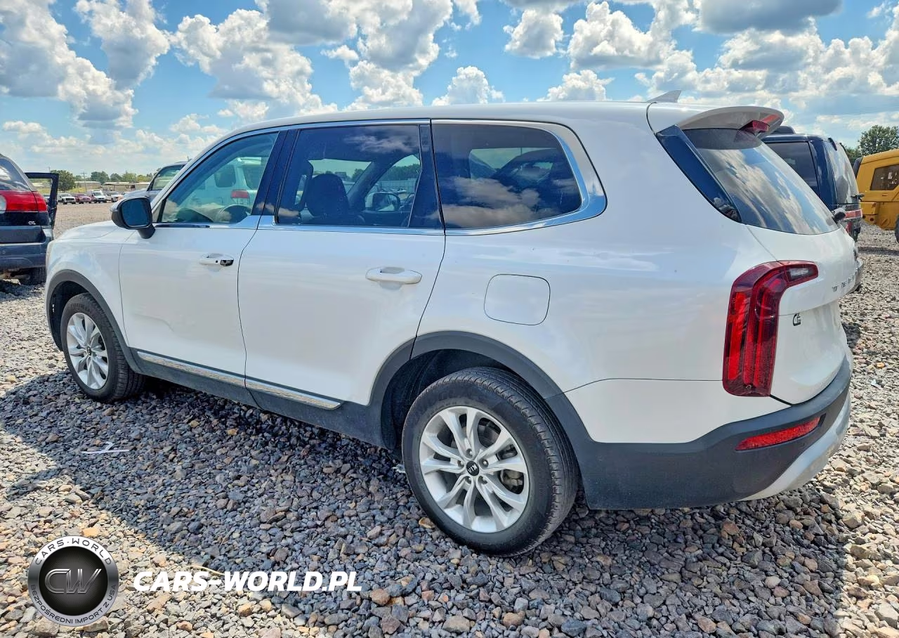 2020 Kia Telluride Lx VIN:5XYP24HC0LG027163 - 2