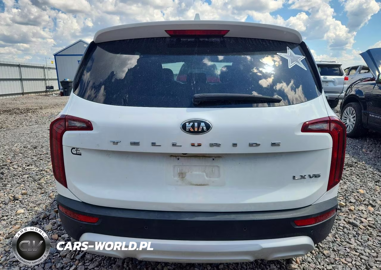 2020 Kia Telluride Lx VIN:5XYP24HC0LG027163 - 6