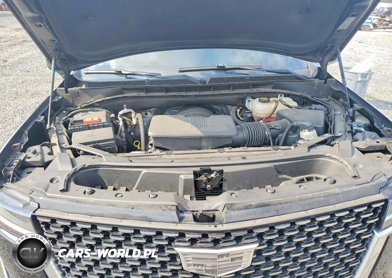 2022 Cadillac Escalade Esv Luxury VIN:1GYS4JKL3NR111925 - 12