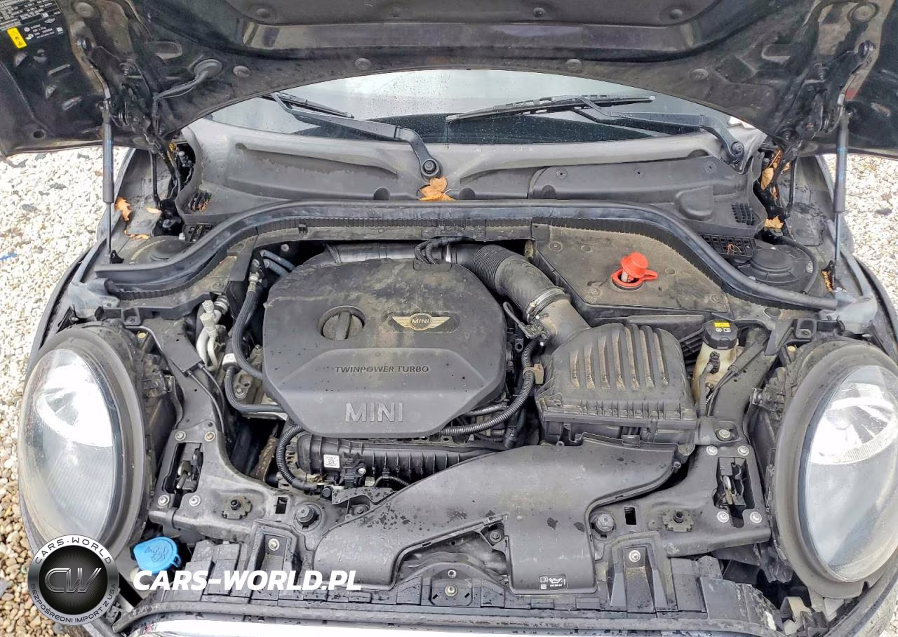 2019 Mini Cooper VIN:WMWXU1C53K2H82981 - 11