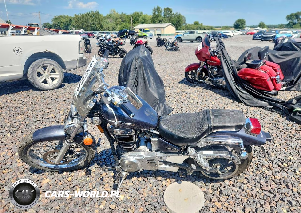 2015 Suzuki Ls650 VIN:JS1NP41A7F2100460 - 3