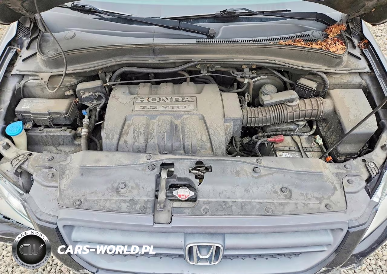 2005 Honda Pilot Exl VIN:2HKYF18795H559579 - 12