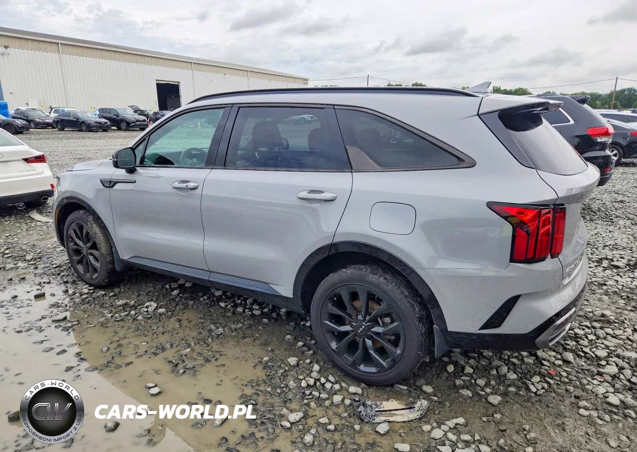 2023 Kia Sorento Sx VIN:5XYRKDLFXPG200316 - 2