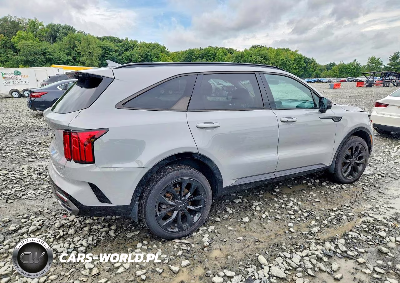 2023 Kia Sorento Sx VIN:5XYRKDLFXPG200316 - 3