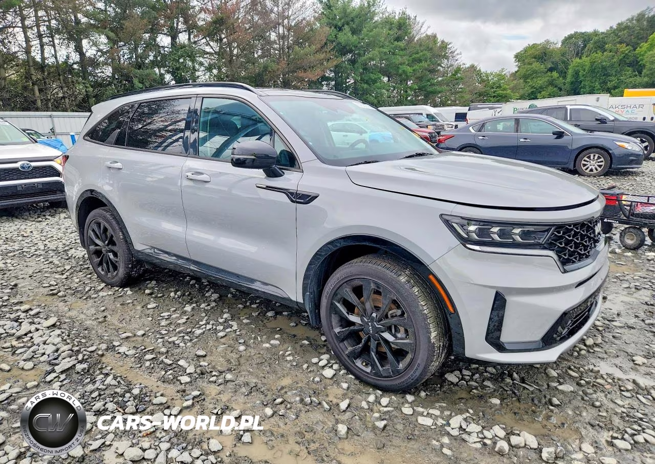 2023 Kia Sorento Sx VIN:5XYRKDLFXPG200316 - 4