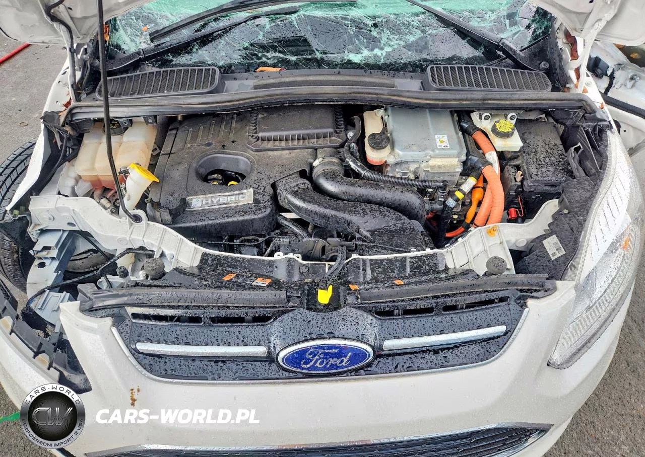 2017 Ford C-Max Se VIN:1FADP5AUXHL113580 - 12