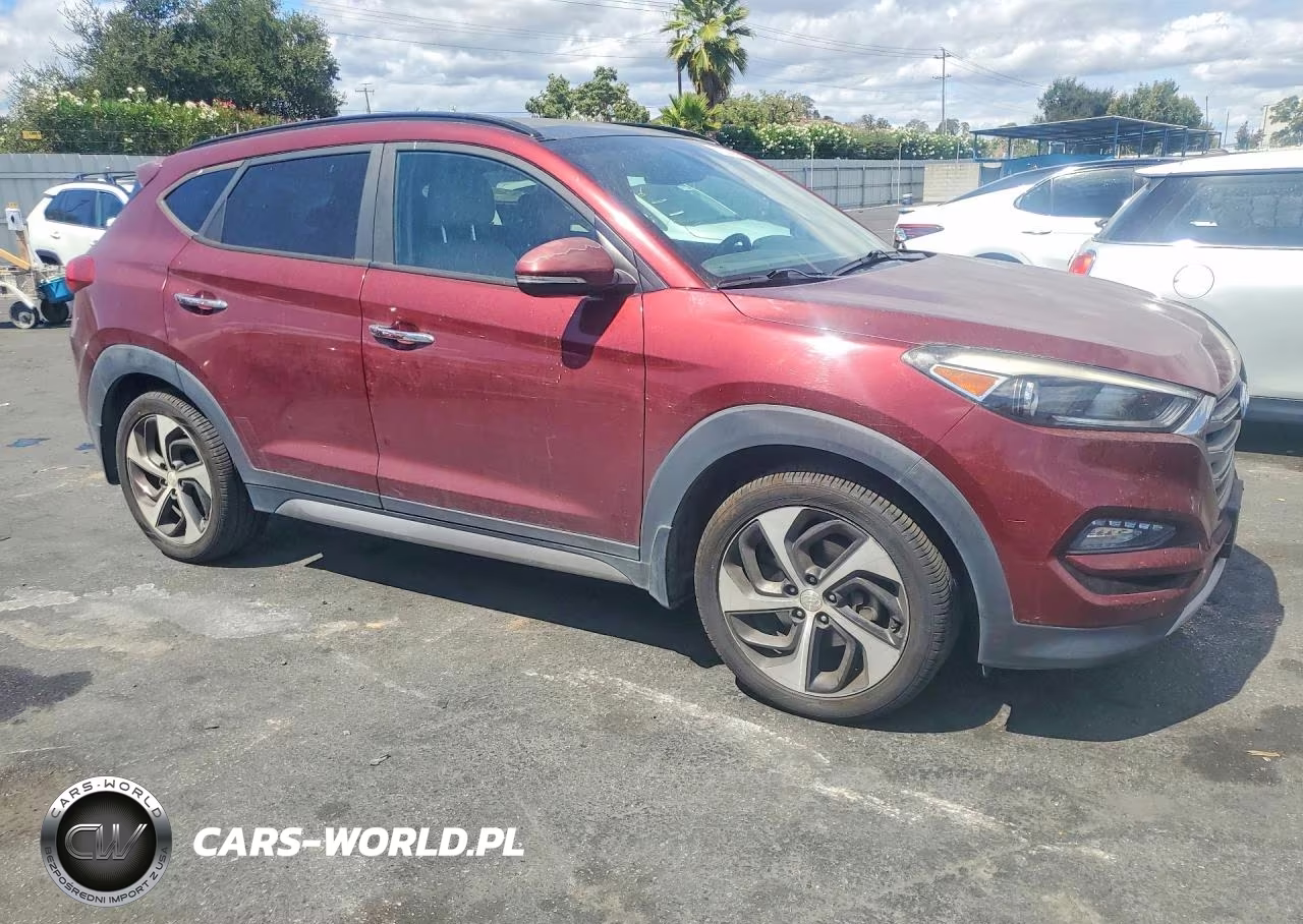 2017 Hyundai Tucson Limited VIN:KM8J33A25HU340094 - 4
