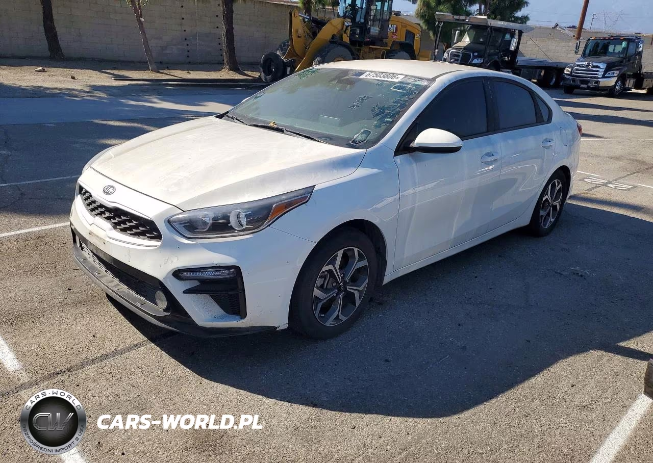 2019 Kia Forte Lxs