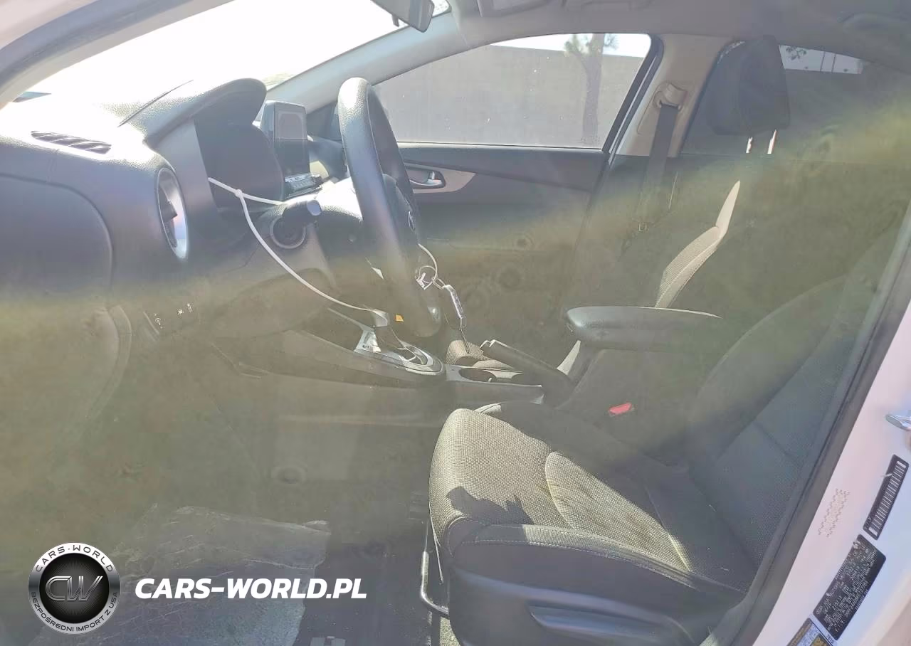 2019 Kia Forte Lxs VIN:3KPF24AD8KE137789 - 7