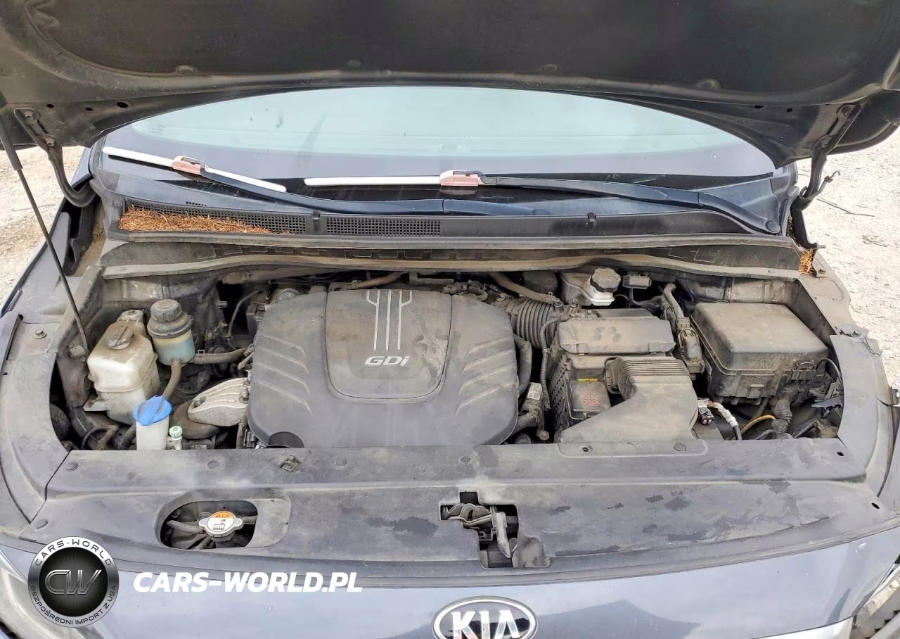 2017 Kia Sedona Lx VIN:KNDMB5C11H6242348 - 12