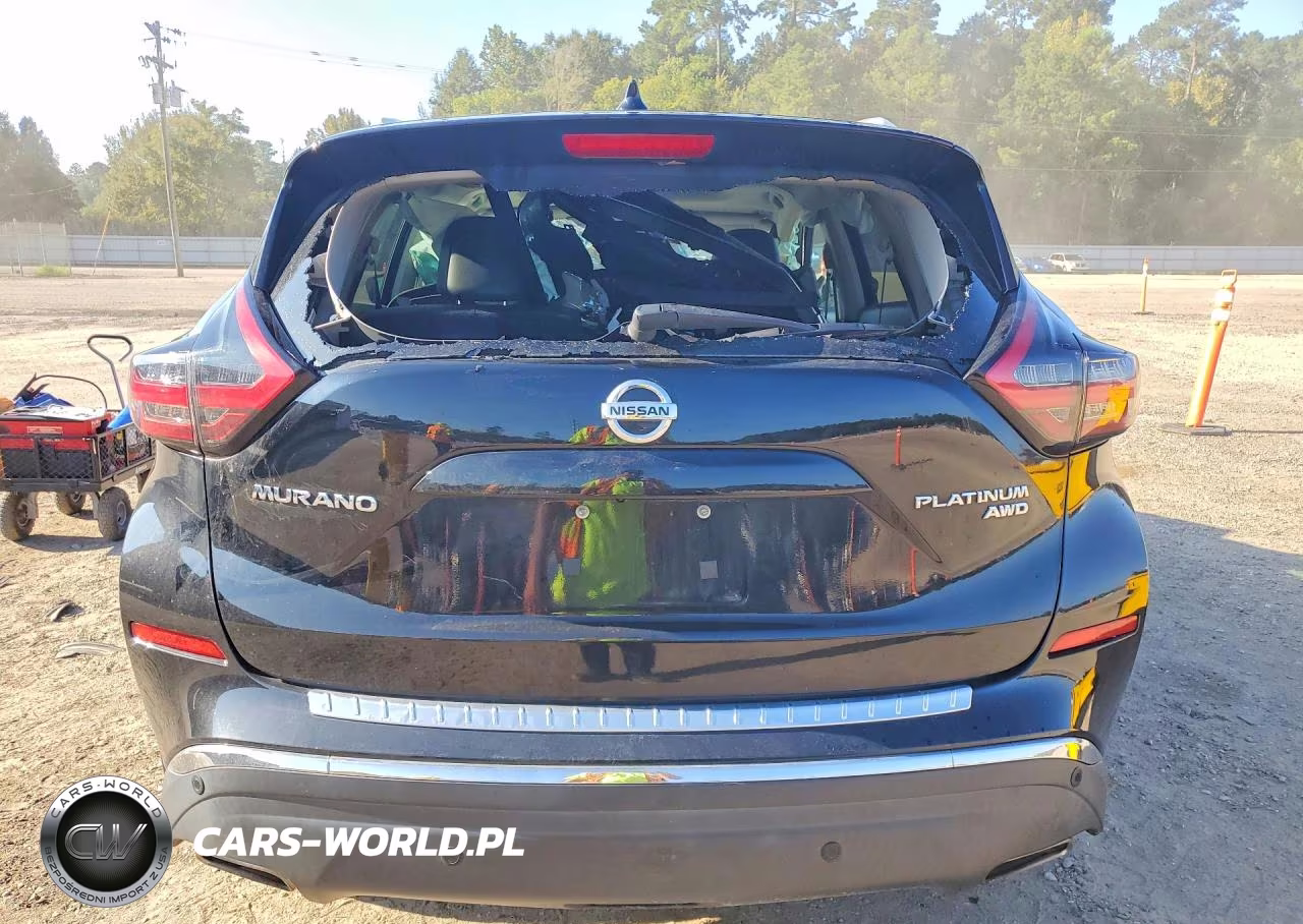 2020 Nissan Murano Platinum VIN:5N1AZ2DS8LN111948 - 6