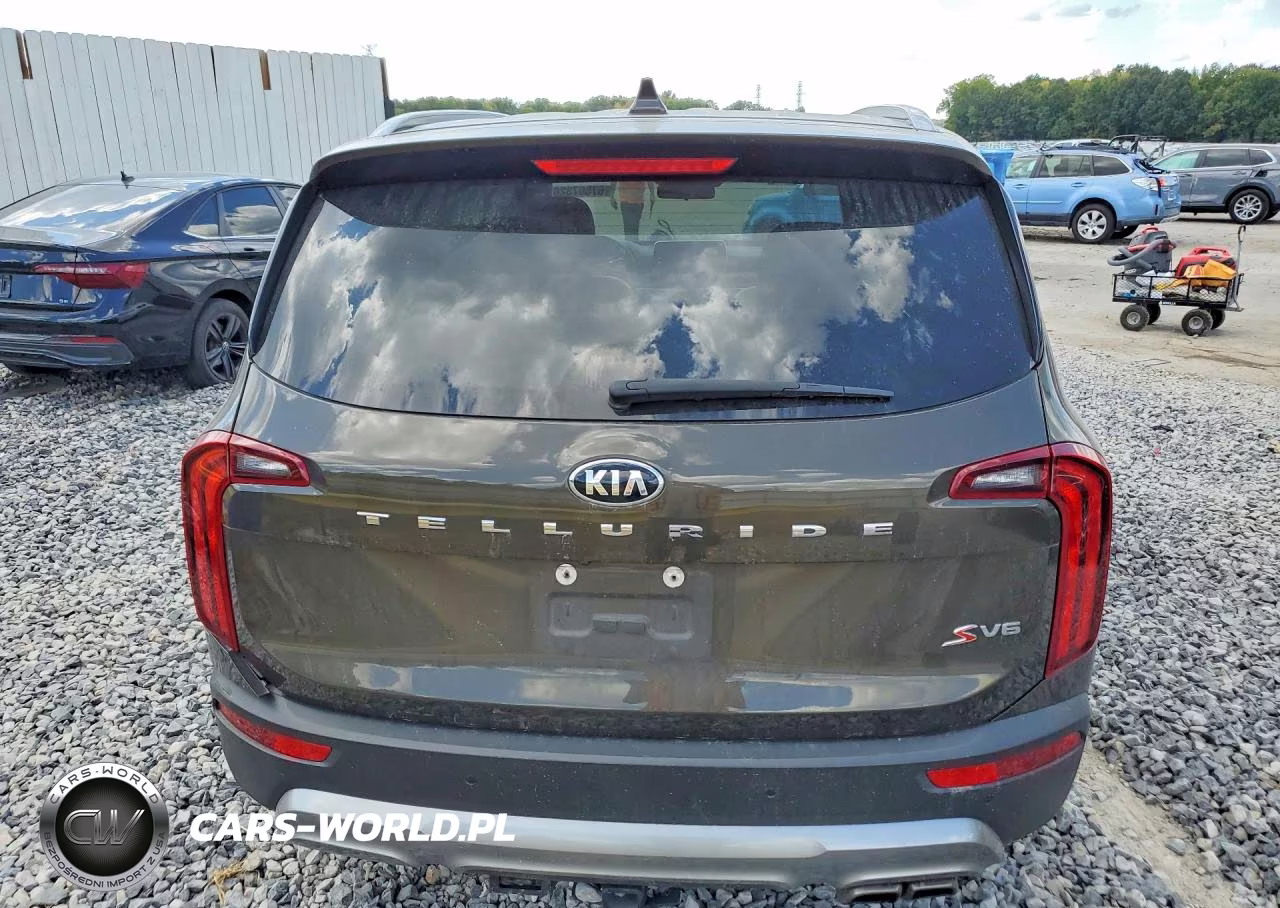 2020 Kia Telluride S VIN:5XYP64HC1LG016354 - 6