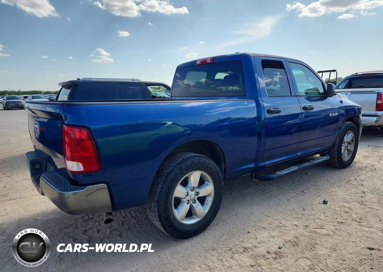 2010 Dodge Ram 1500 VIN:1D7RB1GP9AS209369 - 3