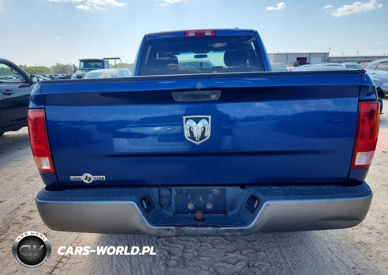 2010 Dodge Ram 1500 VIN:1D7RB1GP9AS209369 - 6