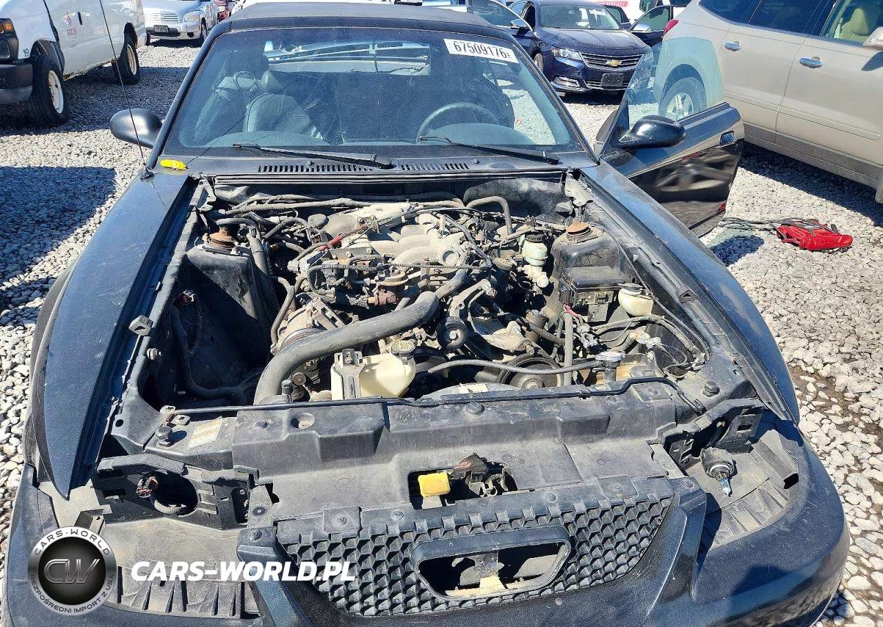 1999 Ford Mustang VIN:1FAFP444XXF207177 - 11