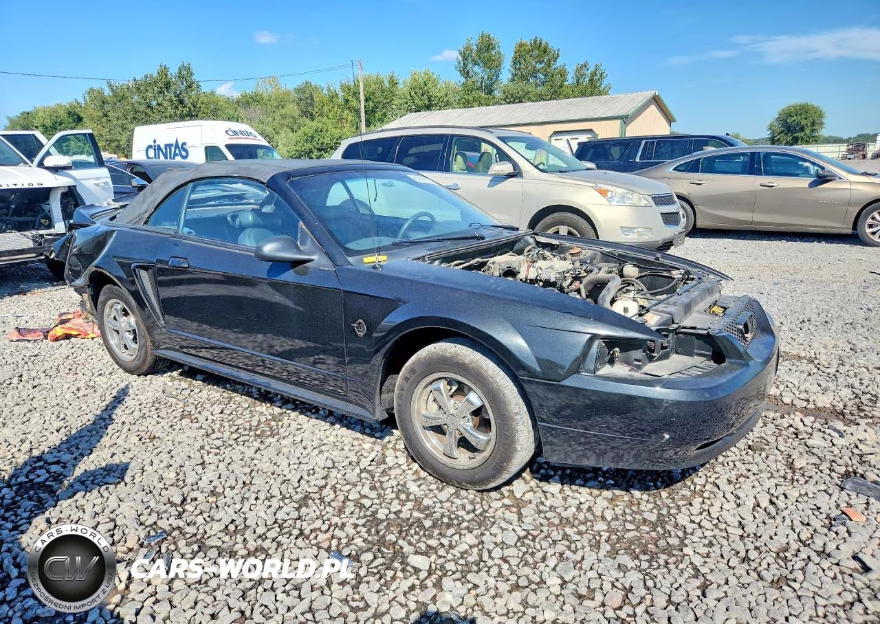1999 Ford Mustang VIN:1FAFP444XXF207177 - 4