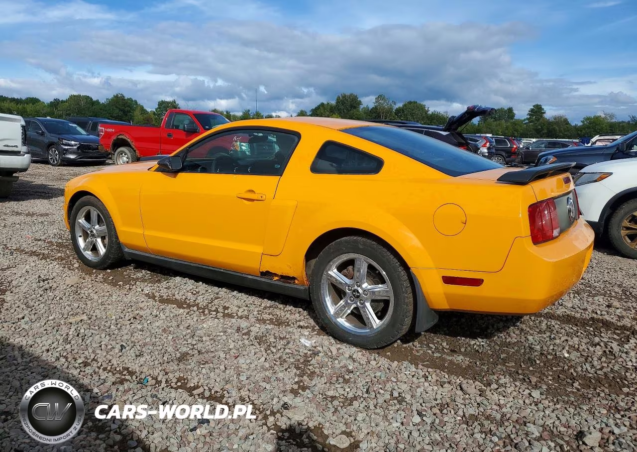 2008 Ford Mustang VIN:1ZVHT80N985204201 - 2