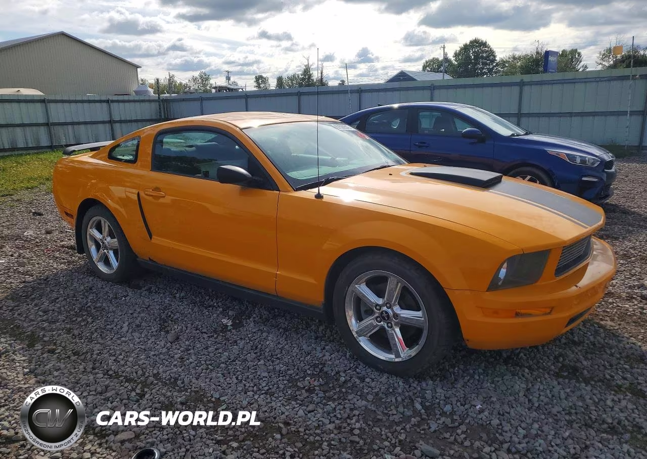 2008 Ford Mustang VIN:1ZVHT80N985204201 - 4