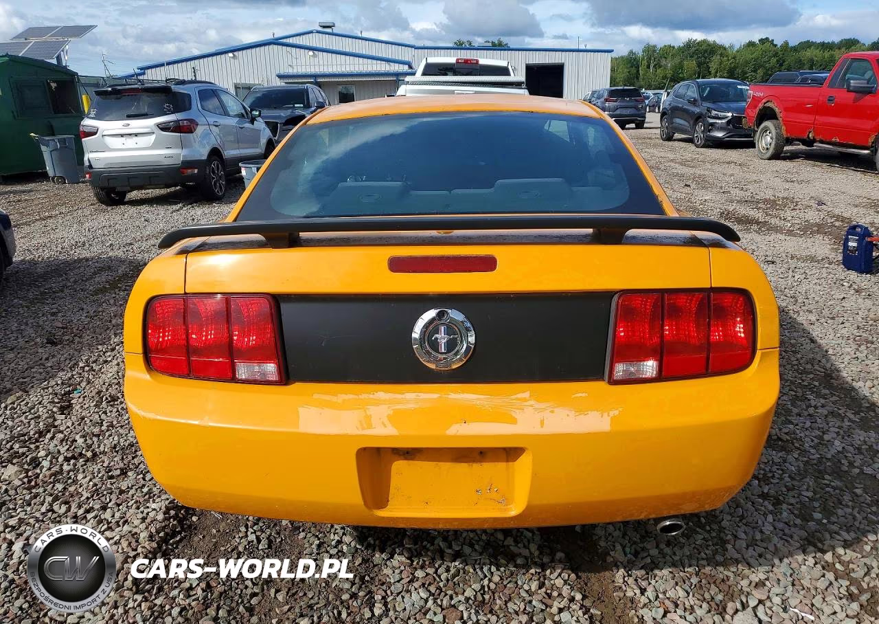 2008 Ford Mustang VIN:1ZVHT80N985204201 - 6