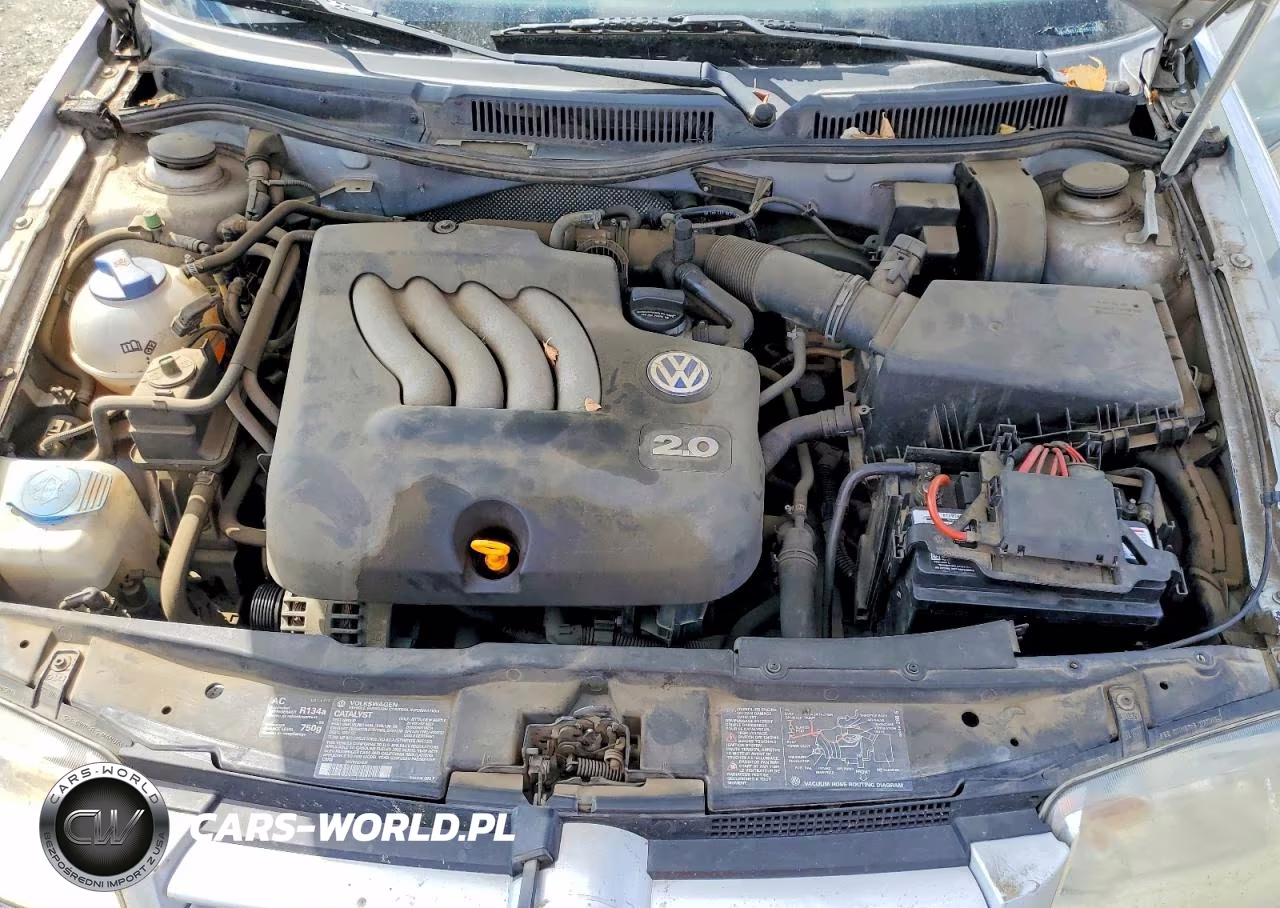 2002 Volkswagen Jetta Gls VIN:WVWSK61J22W623133 - 11