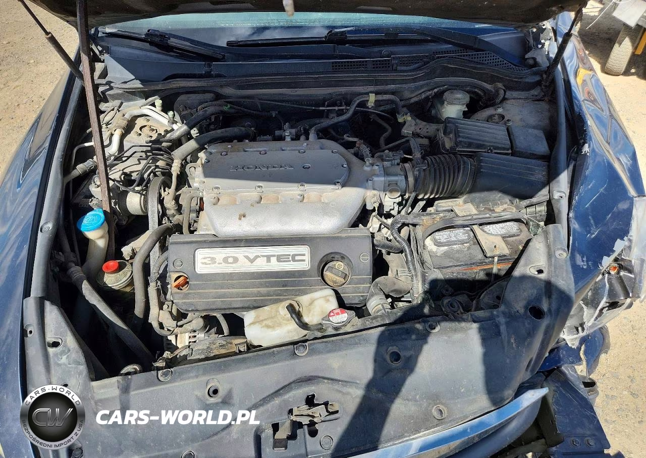 2007 Honda Accord Lx VIN:1HGCM66317A025632 - 11