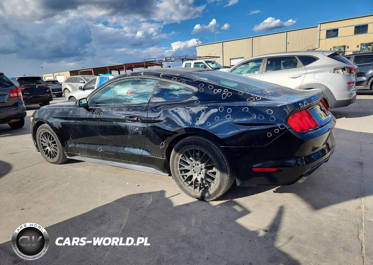 2015 Ford Mustang VIN:1FA6P8AM9F5344885 - 2
