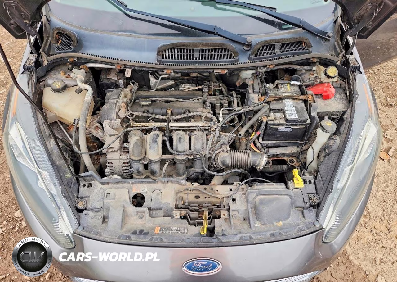 2014 Ford Fiesta Se VIN:3FADP4BJ3EM153296 - 11
