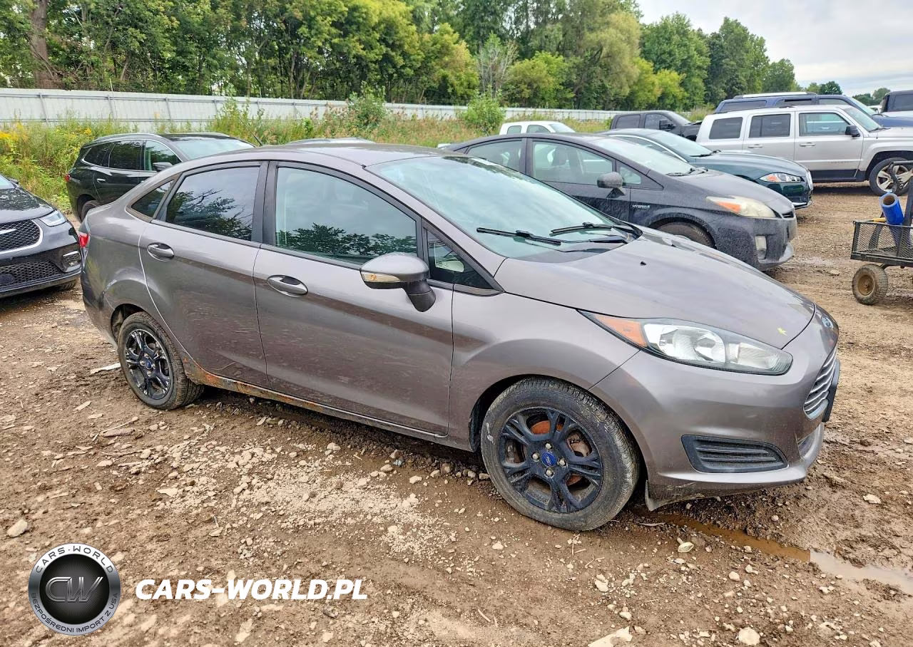 2014 Ford Fiesta Se VIN:3FADP4BJ3EM153296 - 4