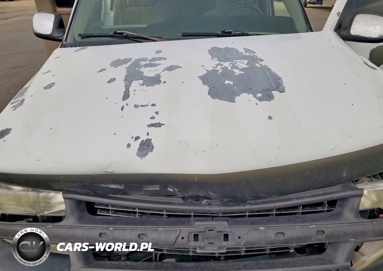 2002 Chevrolet Silverado K1500 VIN:2GCEK19TX21100956 - 11