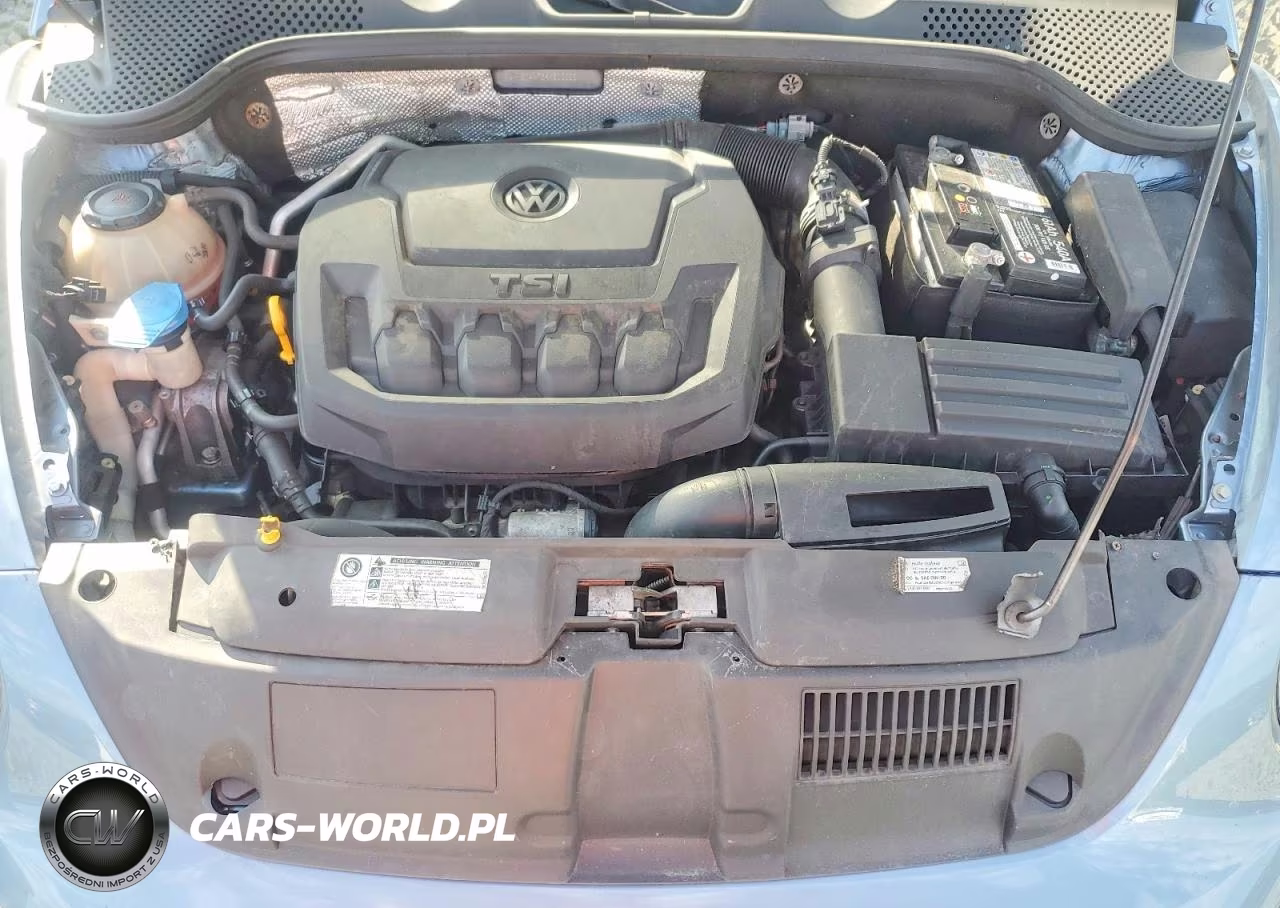 2019 Volkswagen Beetle S VIN:3VW5DAAT3KM502202 - 11