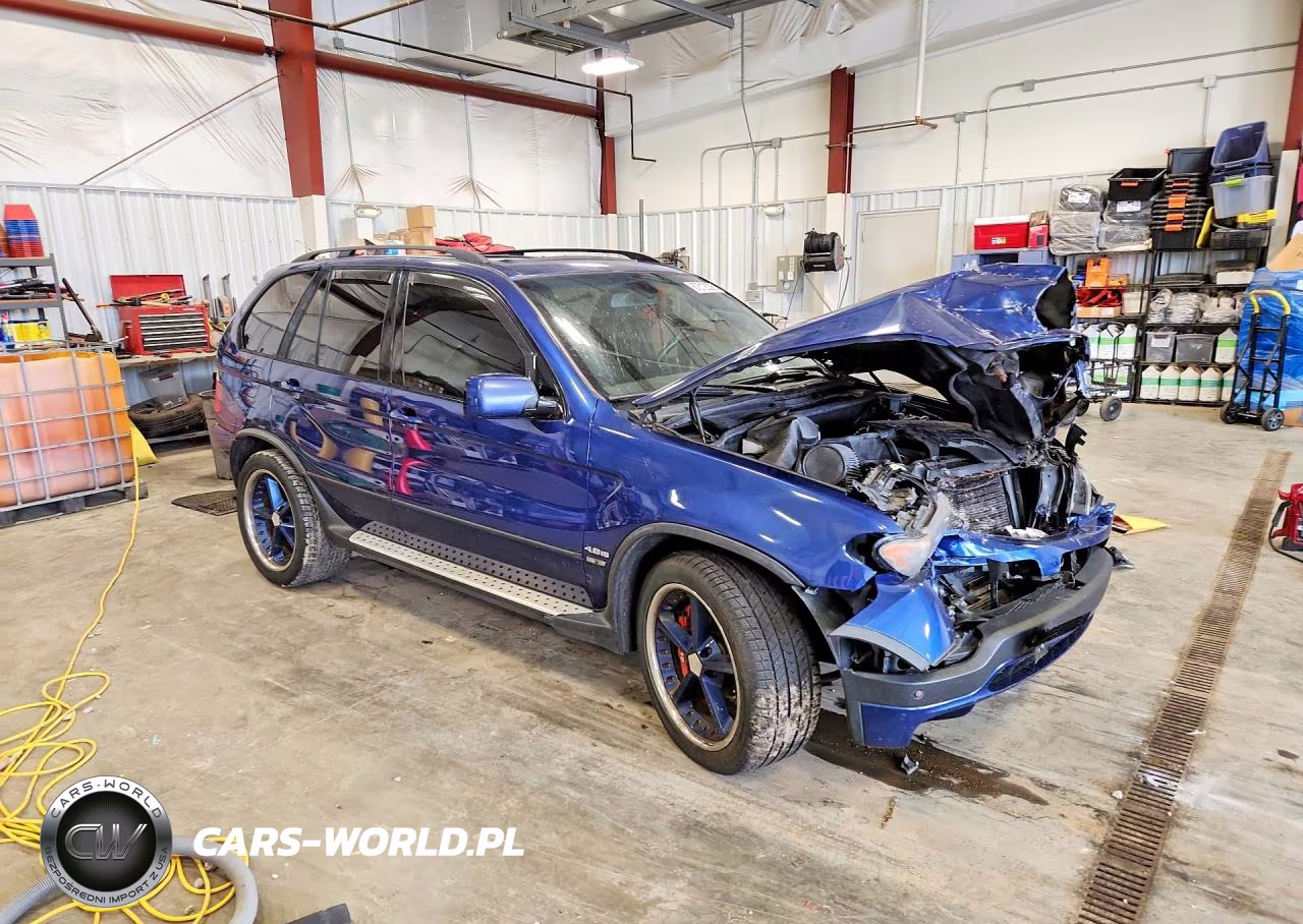 2004 BMW X5 4.8Is VIN:5UXFA93594LE81231 - 4