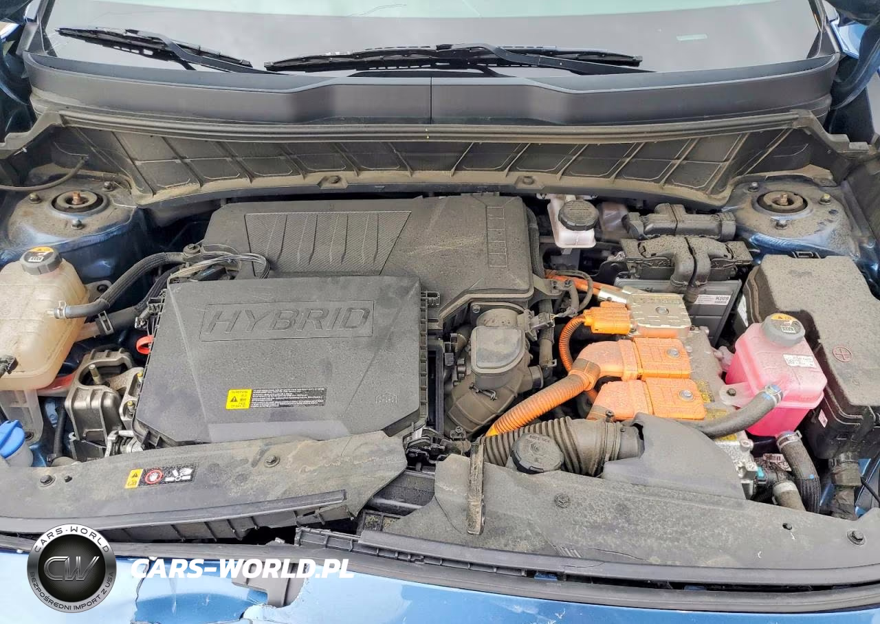 2024 Kia Niro Ex VIN:KNDCR3LE0R5182584 - 12