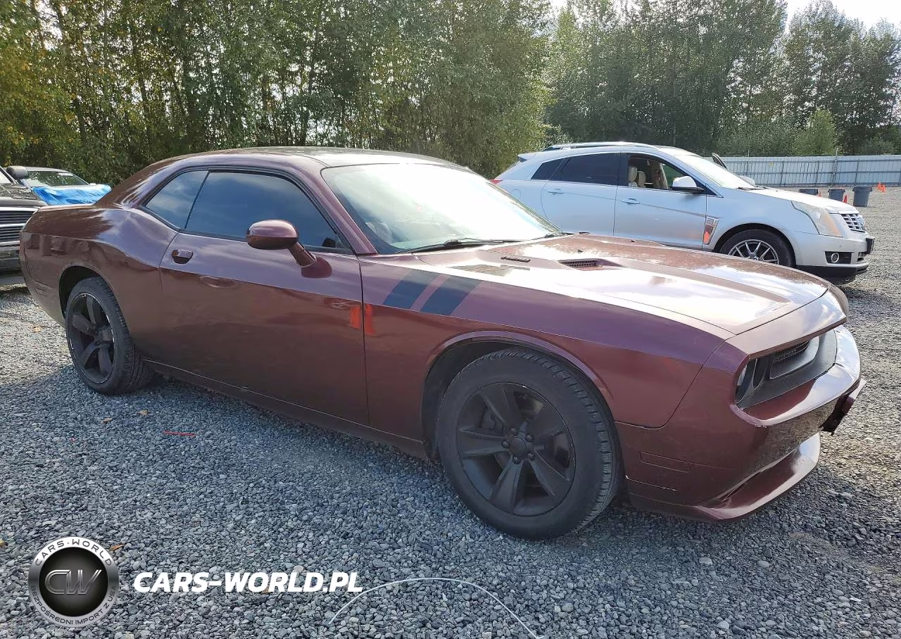 2014 Dodge Challenger R-T VIN:2C3CDYBT2EH204510 - 4