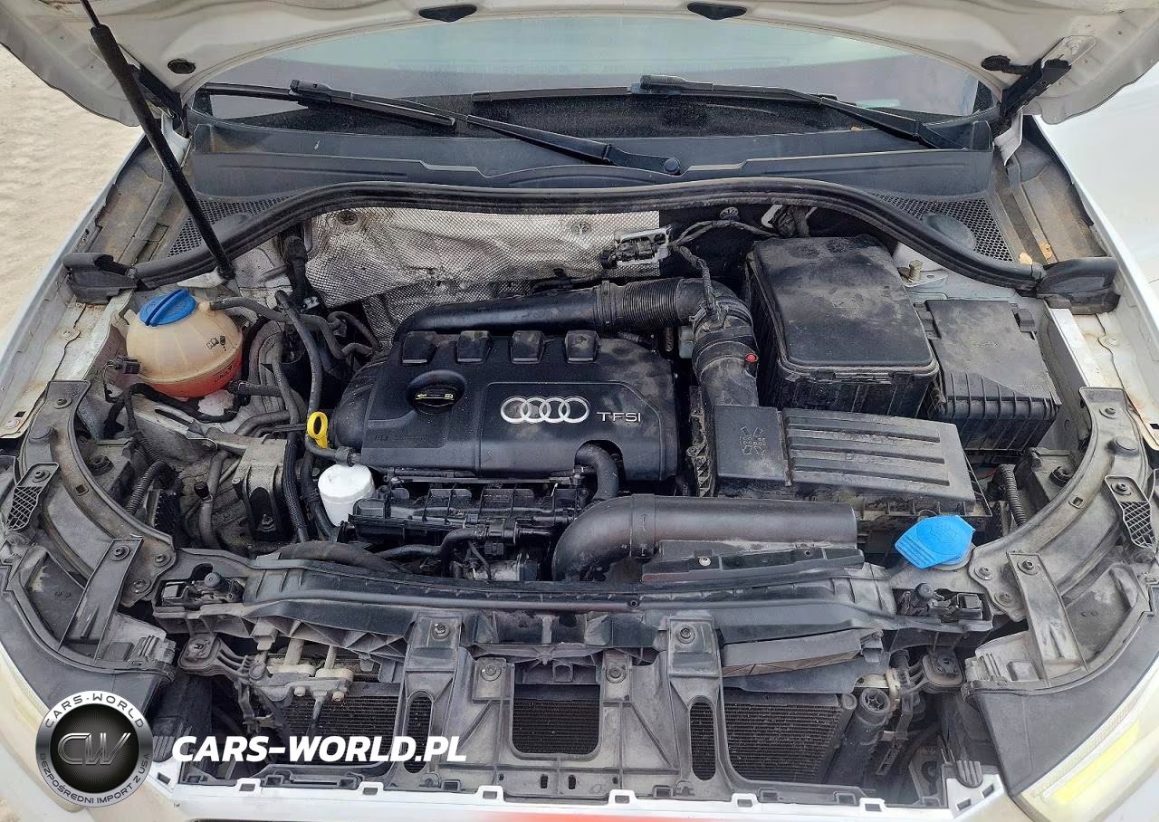 2017 Audi Q3 Premium Plus VIN:WA1HCCFS5HR000243 - 11